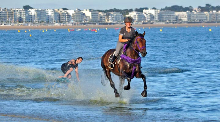 ورزش های آبی - موج‌سواری با اسب