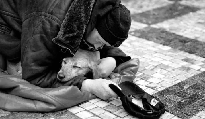 سخنان بزرگان درباره انسان بودن