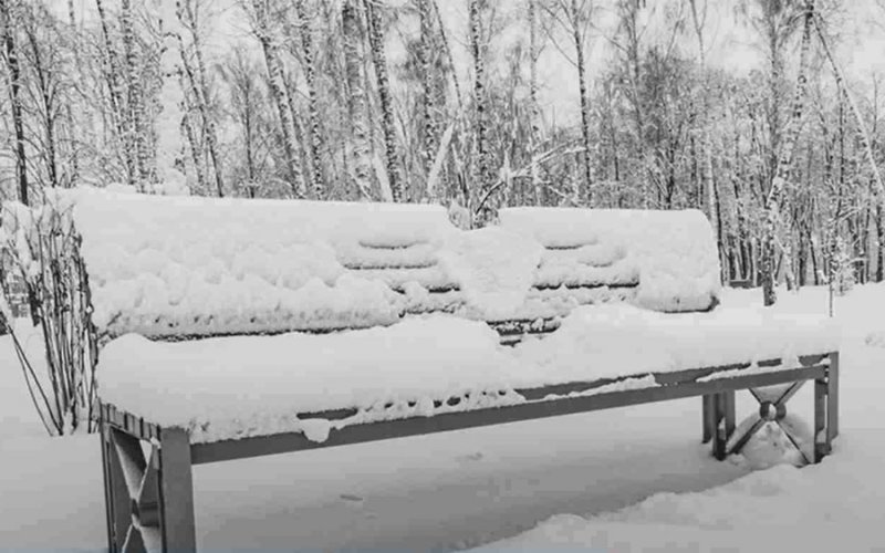 تست بینایی: آیا می توانید خرگوش را در تصویر پیدا کنید ؟