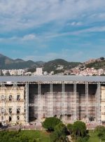 «موزه ملی برزیل» از خاکستر برخاست
