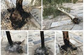 «قبرستانِ نو واجد شرایط ثبت ملی نیست»!