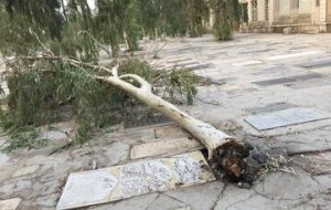 «قبرستانِ نو واجد شرایط ثبت ملی نیست»!