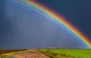 مبتلایان به کوررنگی رنگین کمان را چگونه می‌بینند؟/ عکس