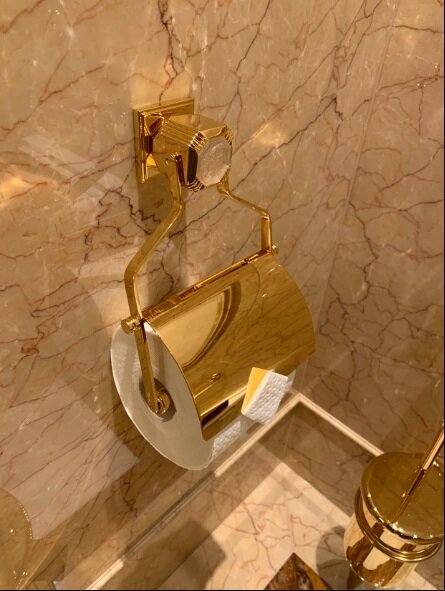 هدیه لاکچری به پوتین/عکس