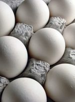 تخم‌مرغ در سبد گران ‌فروشی/ تخم‌مرغ 5 تا 8 هزار گران‌تر از قیمت مصوب بفروش می رسد