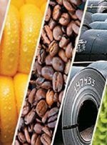 اسامی شرکت‌های گرانفروش فاش شد