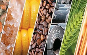 اسامی شرکت‌های گرانفروش فاش شد