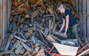 بازگشت آلمان به دوران هیزم‌سوزی برای گرم کردن منازل