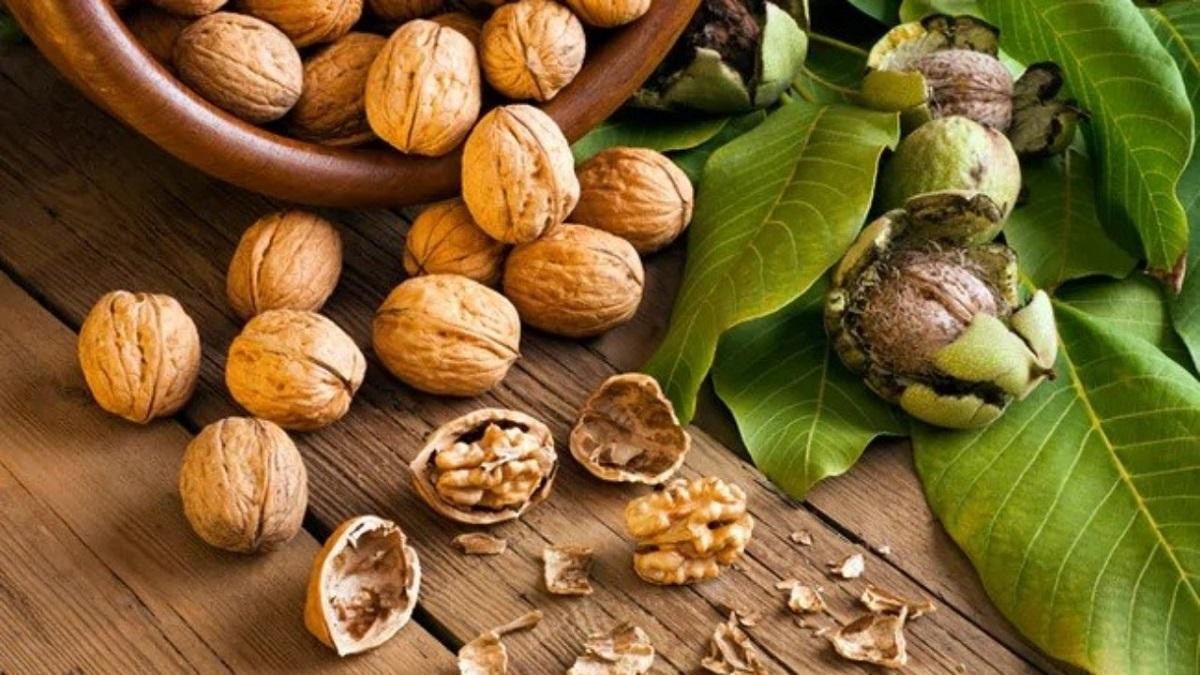 پوست سبز گردو