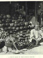 تصویری ناب از یک میوه فروشی در دوران قاجار