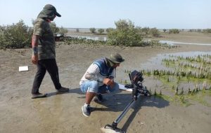 خرچنگ‌هایی به بزرگی یک بشقاب در تلویزیون!