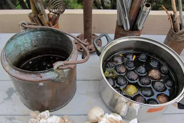 رنگ مو با پوست گردو