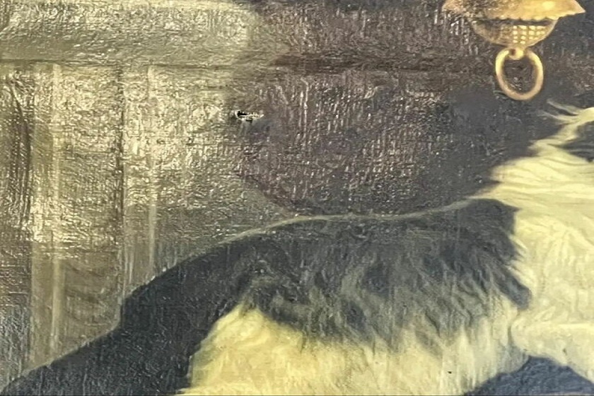 پارگی اثر کمال الملک