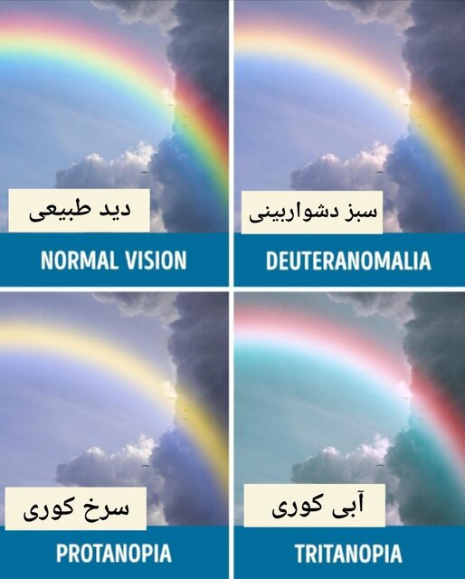برای مبتلایان به کوررنگی، رنگین‌کمان هفت‌رنگ نیست