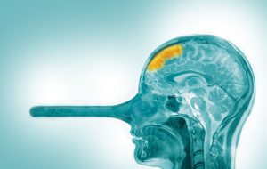 مردان بیشتر دروغ می‌گویند یا زنان؟/ پایان خوش دروغ‌گویی؛ داستان پینوکیو حقیقت داشت!