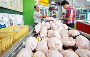 مرغ دوباره گران شد