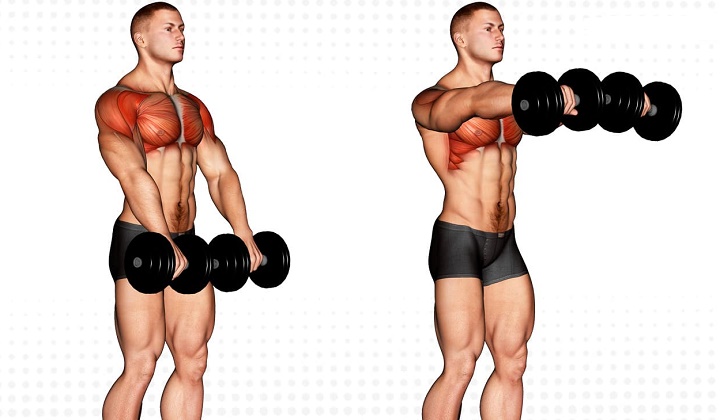 ورزش با دمبل برای بازو - بالا‌ آوردن دمبل از جلو (Dumbbell front raise)