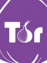 کیف پول Wasabi راه حلی برای حمله Tor DDoS پیدا می کند – مجله بیت کوین