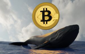 BTC Whale 940 میلیون دلار از کوین بیس انتقال می دهد – 3 دسته از “بیت کوین های خواب” از حرکت سال 2011 – اخبار بیت کوین