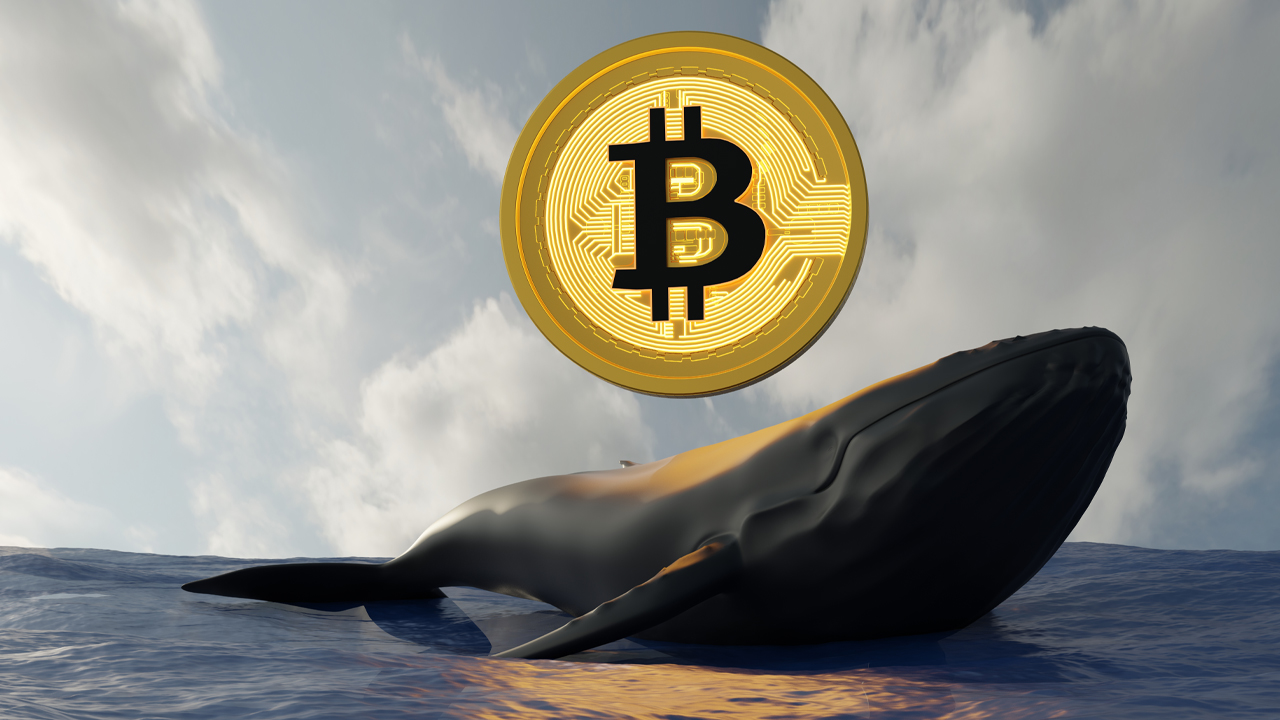 BTC Whale 940 میلیون دلار را از کوین بیس انتقال می دهد - 3 دسته از 