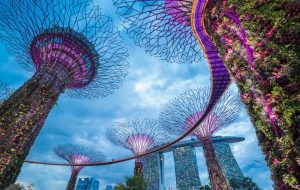 Coinbase تاییدیه اصولی برای ارائه خدمات رمزنگاری در سنگاپور دریافت کرد – مقررات بیت کوین نیوز
