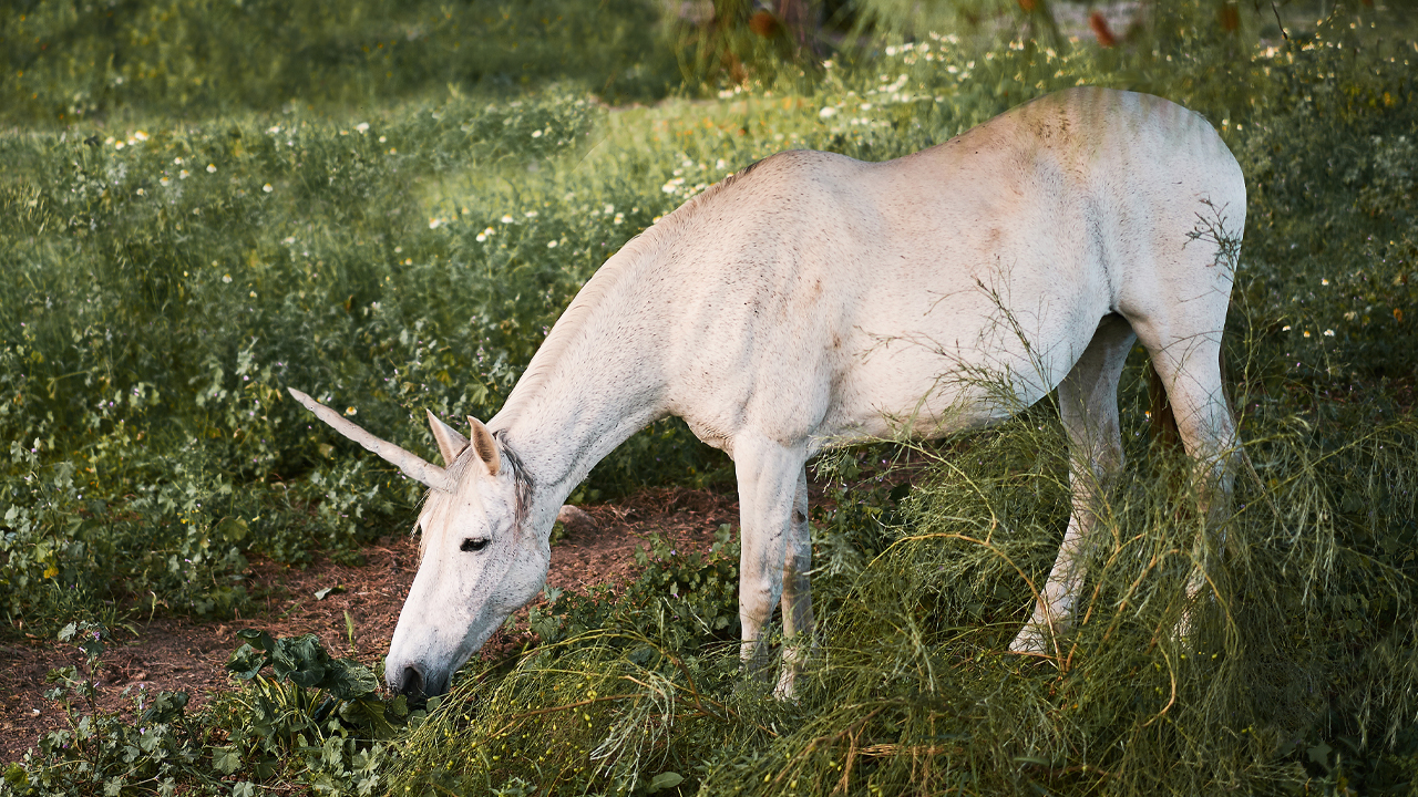 گزارش: Uniswap به دنبال افزایش 200 میلیون دلار سرمایه تازه با ارزش 1 میلیارد دلاری است