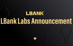 آزمایشگاه LBank از Czhang دعوت می کند تا به عنوان عضو گروه سرمایه گذاری بپیوندد – انتشار مطبوعاتی Bitcoin News