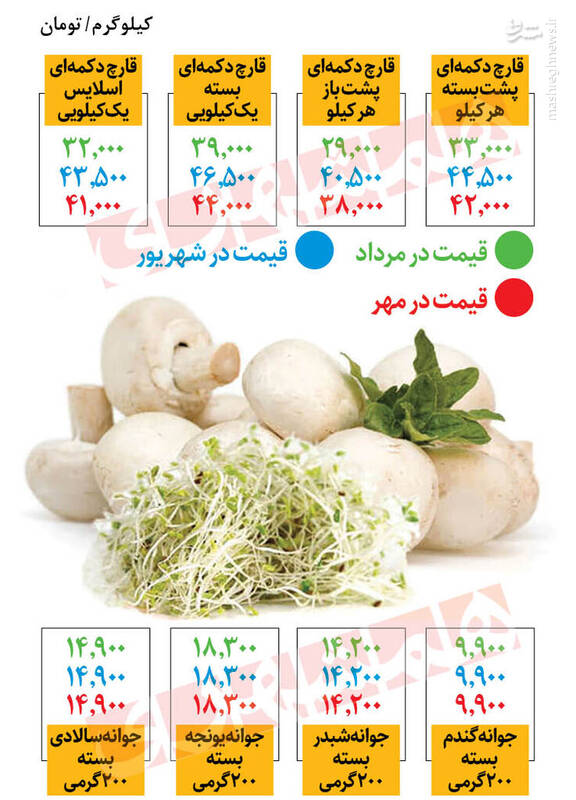  از جدیدترین قیمت قارچ با خبر شوید +جدول