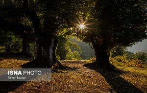 ایران‌ زیباست؛ ییلاق «اولسبلنگاه» ماسال