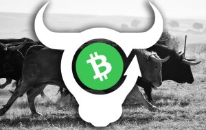 برنامه غیرمتمرکز BCH Bull برای راه‌اندازی آماده می‌شود، پلتفرم به کاربران اجازه می‌دهد تا بیت‌کوین نقدینگی را در برابر هزاران دارایی قابل مبادله طولانی یا پوشش دهند – Defi Bitcoin News