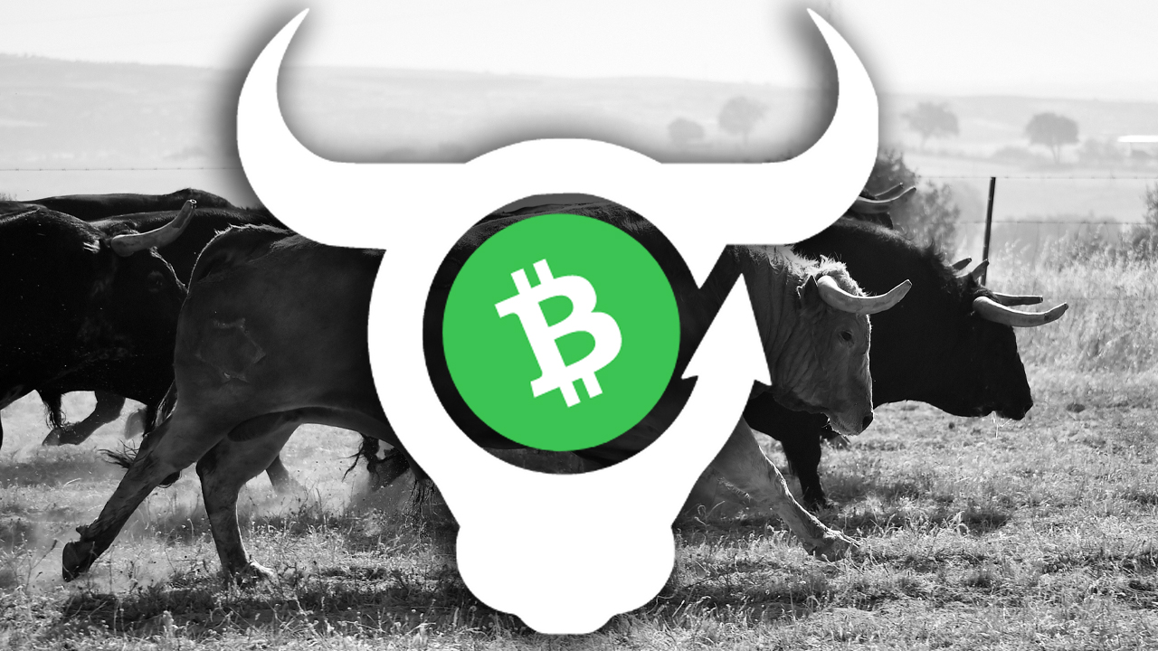 برنامه غیرمتمرکز BCH Bull برای راه‌اندازی آماده می‌شود، پلتفرم به کاربران این امکان را می‌دهد تا بیت کوین نقدی را در برابر هزاران دارایی قابل مبادله طولانی یا پوشش دهند.
