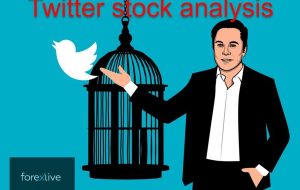 تجزیه و تحلیل سهام توییتر در طول آزمایش خود با ایلان ماسک