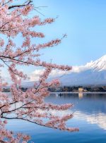 ترفند ژاپن برای جذب گردشگر بین‌المللی