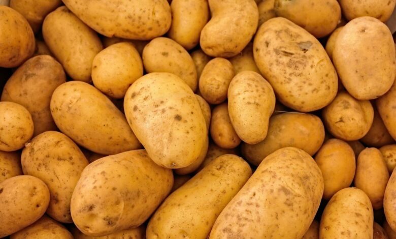 تست بینایی سوزن