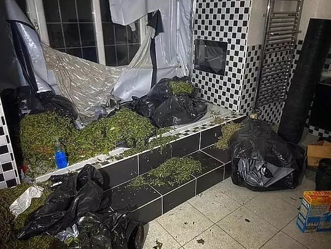 خانه ستاره سابق قرمزها کارگاه تولید ماریجوانا شد!/عکس
