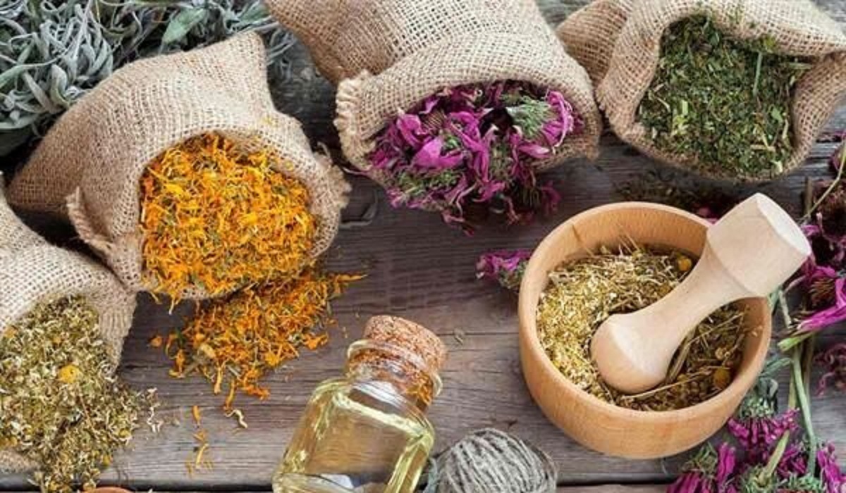 گیاهان دارویی