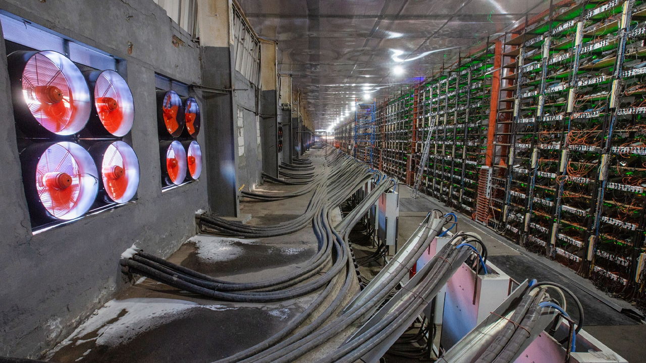 علیرغم دشواری قابل توجه و قیمت پایین بیت کوین، هشرت بیت کوین همچنان به بالاترین سطح خود ادامه می دهد.