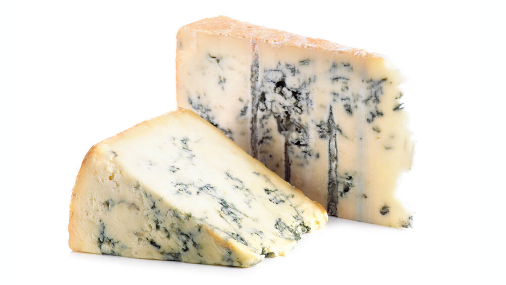 تنوع‌ حیرت‌انگیز قارچ‌ها؛ دوستان و دشمنانی که ما را احاطه کرده‌اند 