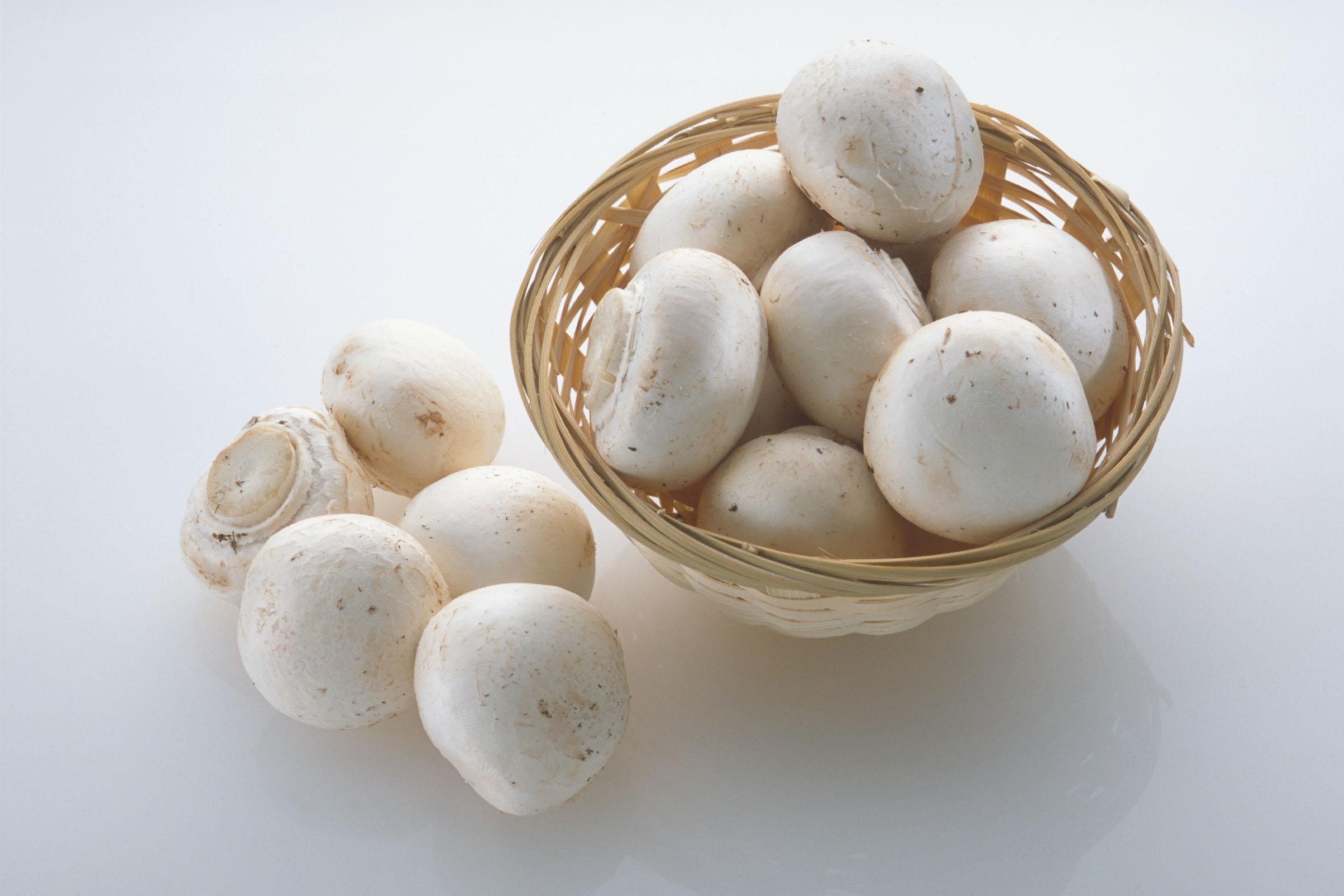 پرواز قیمت قارچ !