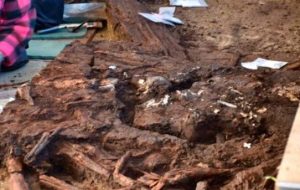 کشف استخوان‌های ۱۰هزار ساله در آلمان