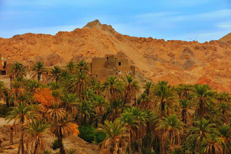 کویر زردگاه