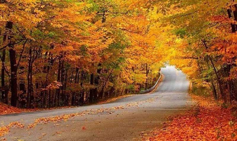 جنگل النگدره