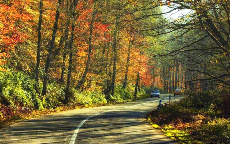 جاده اسالم به خلخال