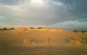 محوطه ساسانی در کرمان پس از چند بار تعرض تعیین عرصه می‌شود