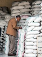 اعلام قیمت ارزان‌ترین و گران‌ترین برنج در بازار / قیمت جدید برنج