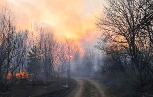 ۳۲ هزار متر مربع از جنگل های مازندران در آتش سوخت