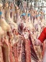 گوشت گوسفند باز هم گران شد/ بزودی فروش اینترنتی راه اندازی می‌شود