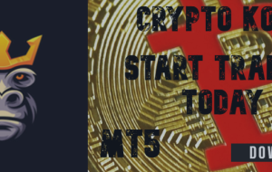 Crypto Kong – Trading Systems – 8 نوامبر 2022