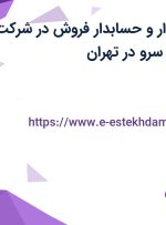 استخدام حسابدار و حسابدار فروش در شرکت طلیعه داران مهر سرو در تهران