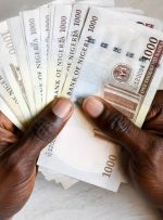 افزایش نرخ ارز نیجریه در برابر دلار آمریکا چند روز پس از کاهش قیمت – اخبار بیت کوین آفریقا